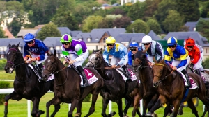 Golden Race Tips: Expert Strategies to Win More Virtual Horse Races
