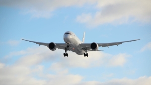 How to Avoid Fake Aviator Tips Circulating Online: Stay Safe & Play Smart