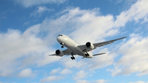 How to Read Aviator History to Predict Trends: Master Your Game with JetBet