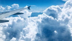 How to Stay Disciplined When the Plane Is Flying High: Your Guide to Sustained Success
