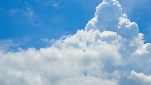 How to Teach Your Friend to Play Aviator (Kenyan Style) | The Ultimate Guide