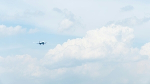 How to Track Your Wins and Losses in Aviator: Master Your Game with Smart Strategies