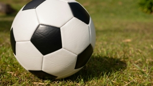 New betting sites in Kenya: Top Picks & Expert Review