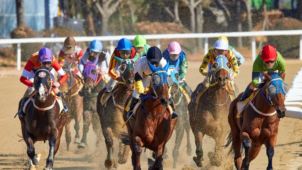 Virtual horse racing tips: Expert strategies for winning bets
